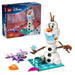 LEGO Il Divertente Picnic Di Olaf E Bruni - 43287