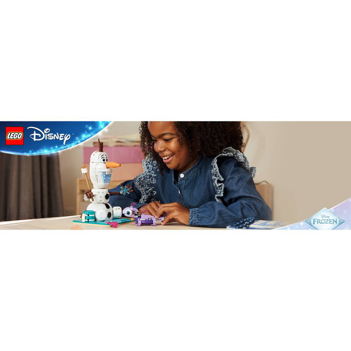 LEGO Il Divertente Picnic Di Olaf E Bruni - 43287