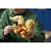 LEGO Arcanine