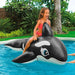 INTEX Cavalcabile Orca - I58561