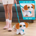 HASBRO Furreal Walk A Lots Big Wags - 28118