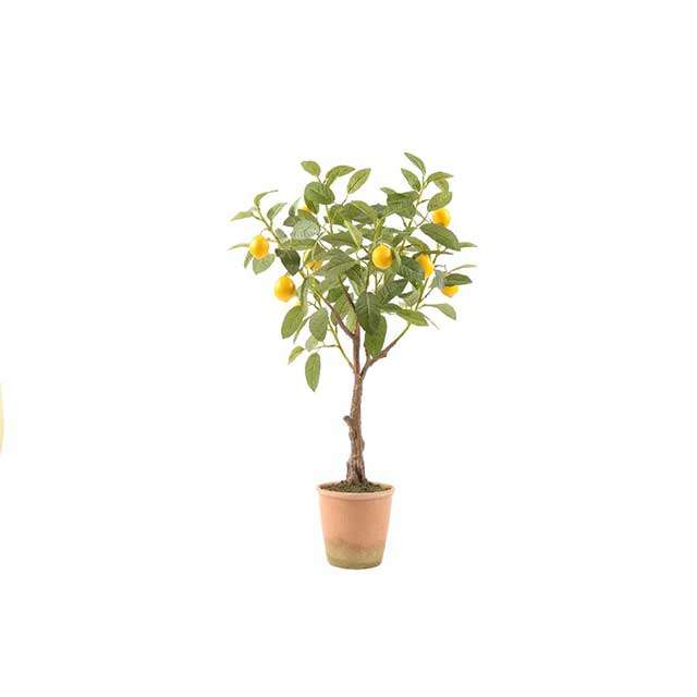 MERCURY Pianta In Plastica Di Limoni La Terra Del Sole 75Cm - 51632