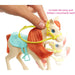 MATTEL Barbie E Chelsea Playset Con Bambole, Cavalli E Accessori, 3+ Anni - FXH15