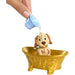MATTEL Belle E Cucciolo Momenti Di Bellezza - JFC42