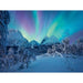RAVENSBURGER The Arctic Show Puzzle 1500 Pezzi - 00802