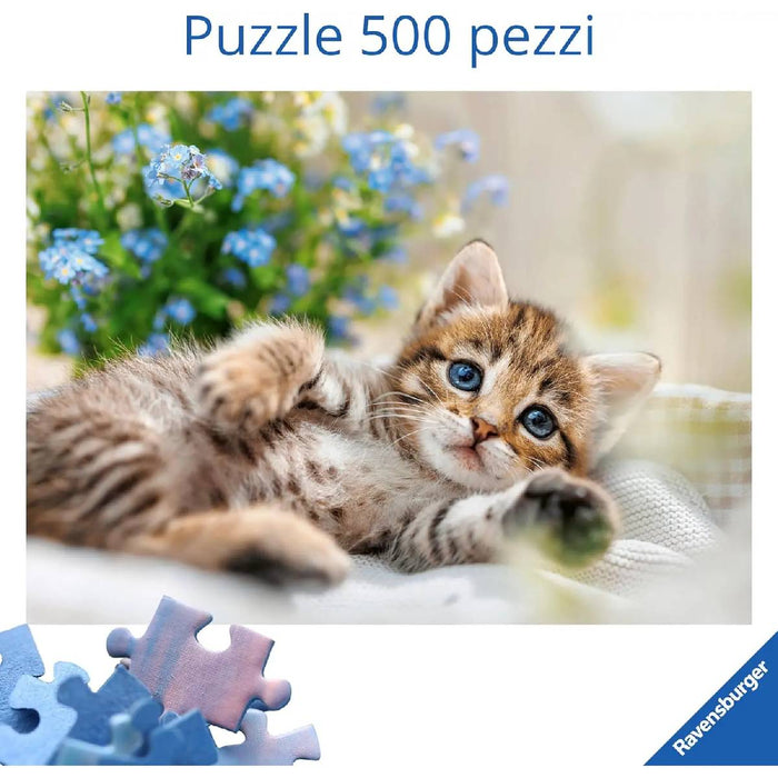 RAVENSBURGER Dolce Gattino Puzzle 500 Pezzi - 12001904