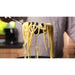 TESCOMA Mestolo Pasta Grandchef - 428307