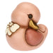 THUN Paperella In Ceramica Rosa