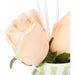 THUN Set Diffusore Con Rose Verde 50 Ml
