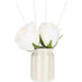 THUN Set Diffusore Con Rose Grigio 50 Ml