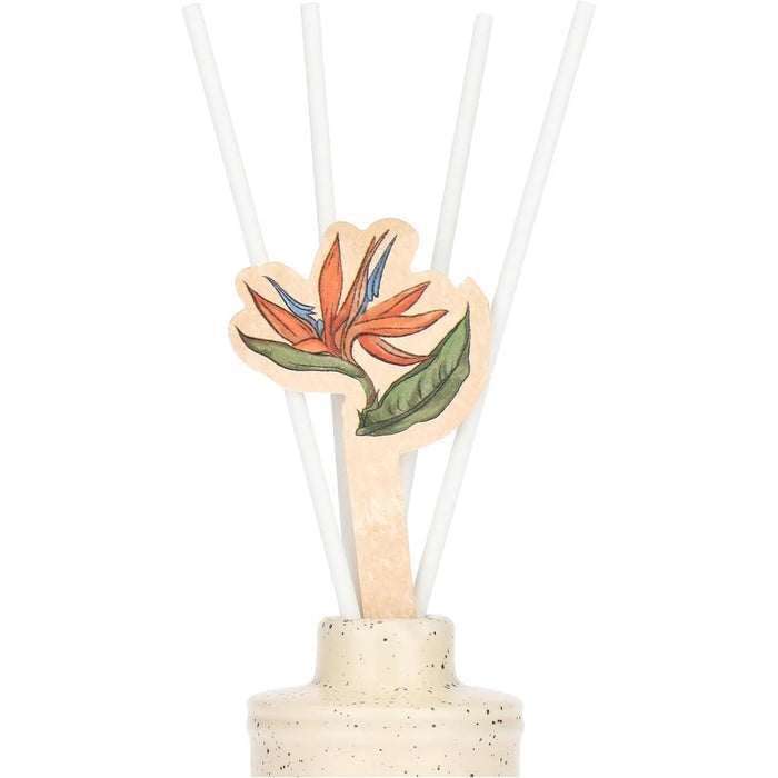 THUN Diffusore Bouquet Agrumato Beige 50 Ml