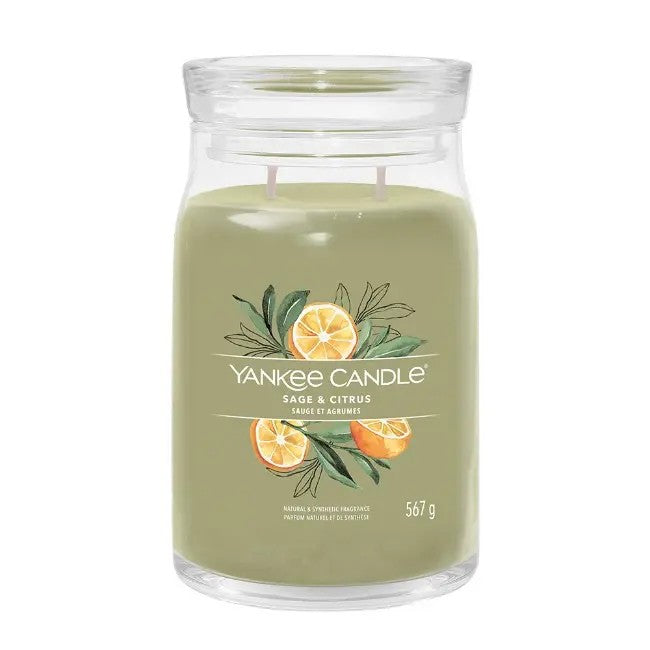 YANKEE CANDLE Giara Grande Sage E Citrus