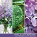YANKEE CANDLE Giara Grande Lilac Blossom - 1629963E