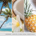 YANKEE CANDLE Giara Grande Signature Coconut Beach - 1629967E