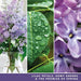 YANKEE CANDLE Giara Media Lilac Blossom - 1629997E