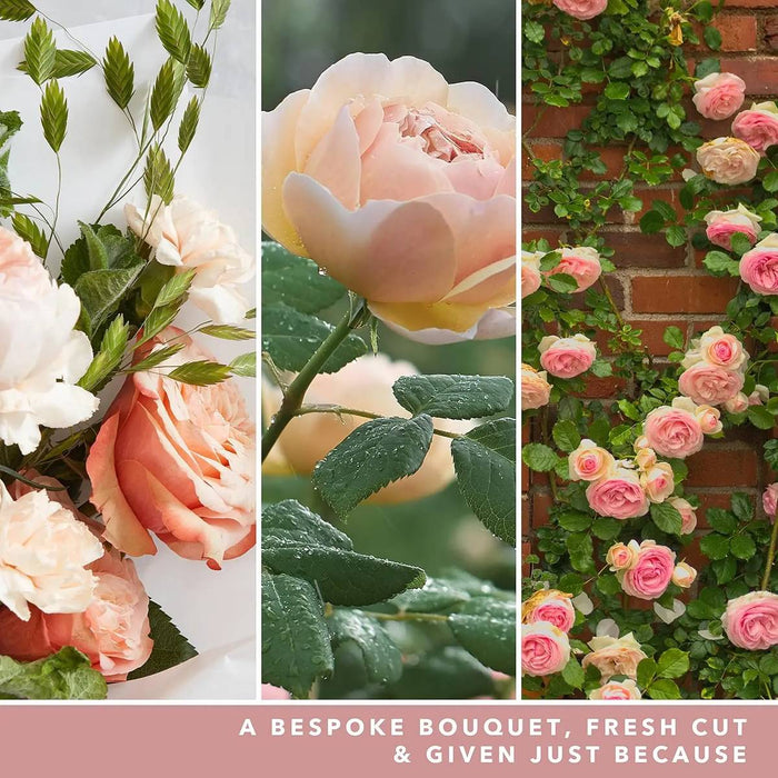 YANKEE CANDLE Giara Media Fresh Cut Roses - 1630660E