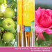 YANKEE CANDLE Tumbler Grande Art In The Park - 1728878E