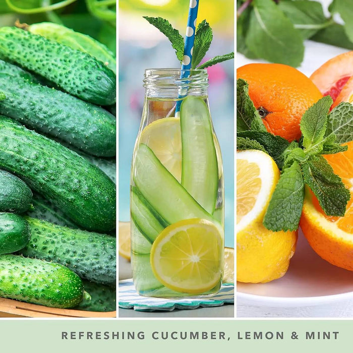 YANKEE CANDLE Giara Grande Cucumber Mint Cooler - 1728894E