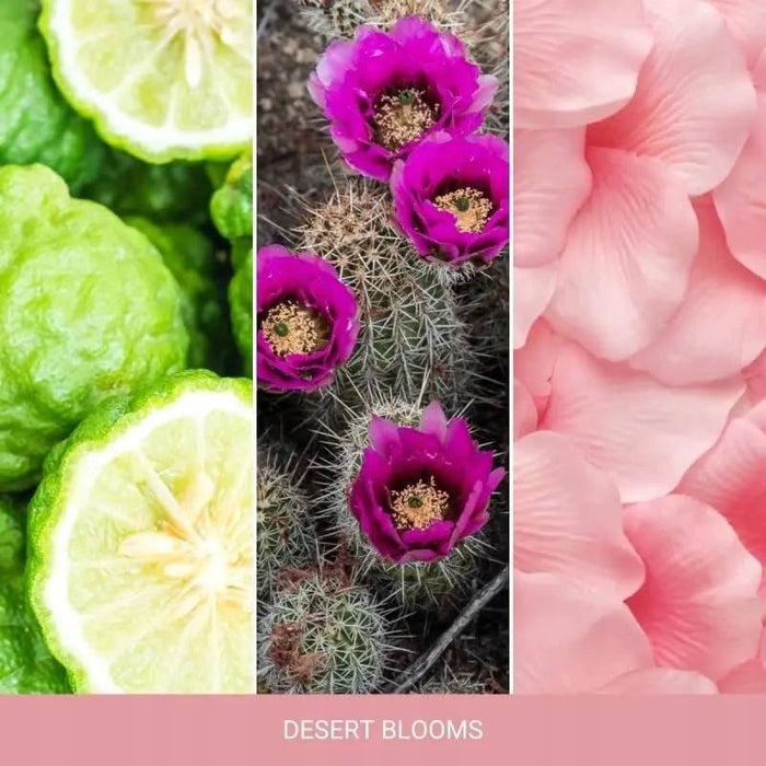 YANKEE CANDLE Giara Media Desert Blooms - 1749330E