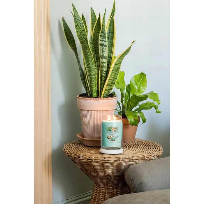 YANKEE CANDLE Giara Grande Aloe Agave - 1749343E